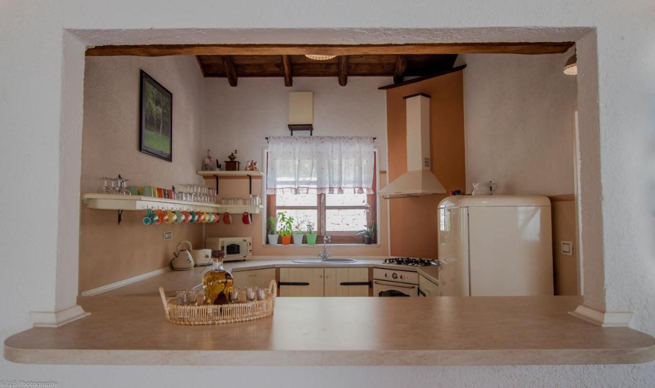 Family Villa Lipica With Private Pool And Jacuzzi Pazin Eksteriør bilde